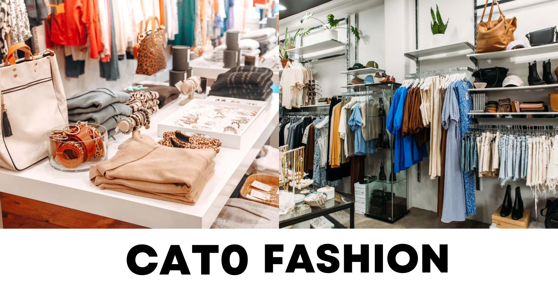 Cato Fashions Plus Size Dresses: Embrace Your Style and Confidence